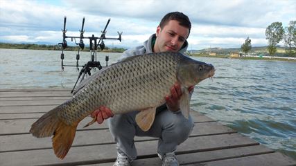 Pleasa 2013